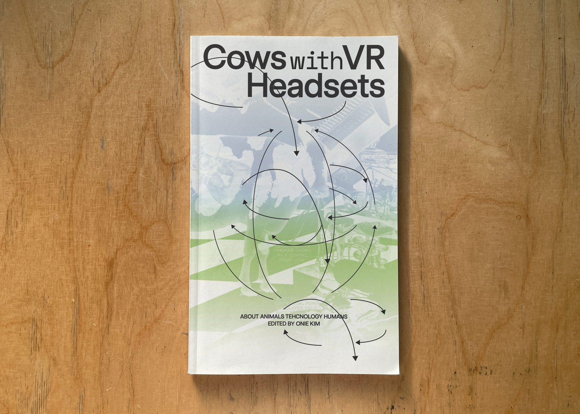 /image/cows-with-vr/1.jpg